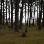 Cintorín Skogskyrkogården